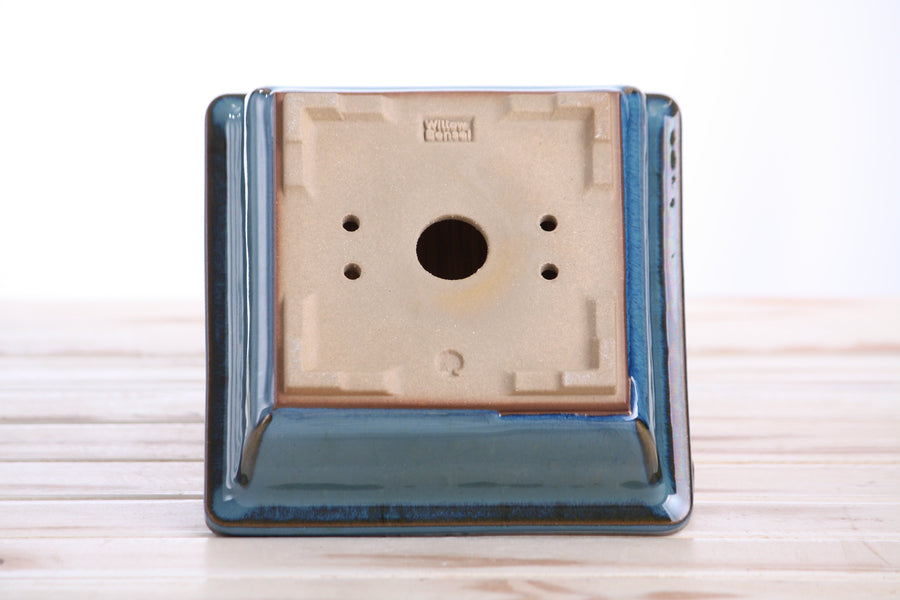 6-Inch Square Bonsai Pot - Peacock 2025