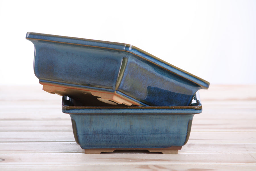6-Inch Square Bonsai Pot - Peacock 2025