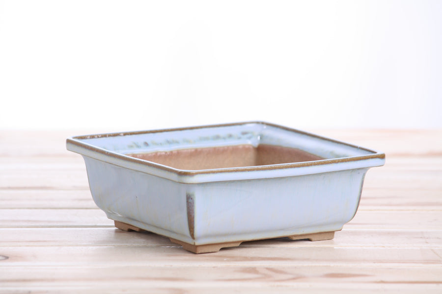 6-Inch Square Bonsai Pot - Glacier