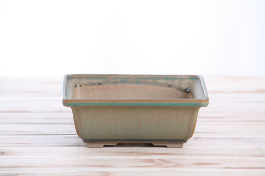 6-Inch Square Bonsai Pot - Speckled Moss