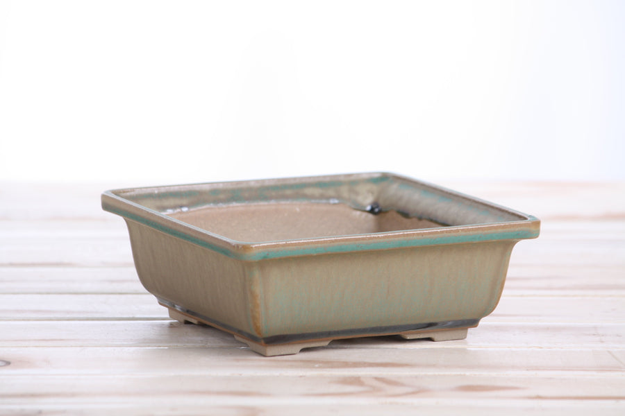 6-Inch Square Bonsai Pot - Speckled Moss