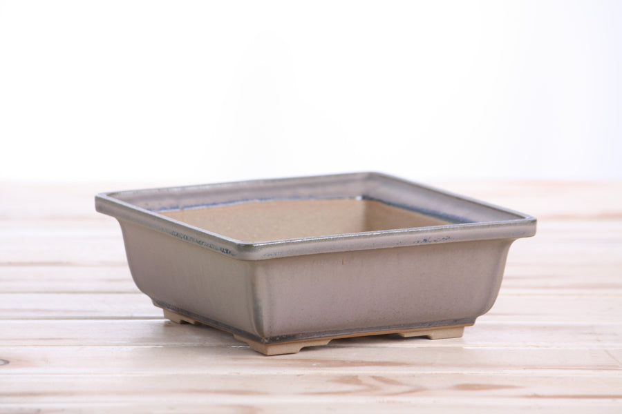 6-Inch Square Bonsai Pot - Ocean