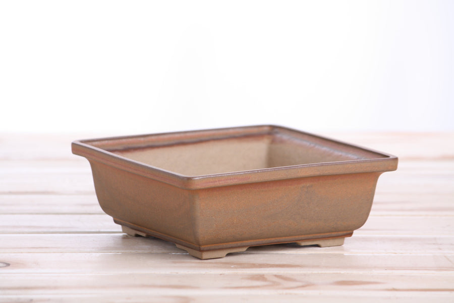 6-Inch Square Bonsai Pot - Deep Stone