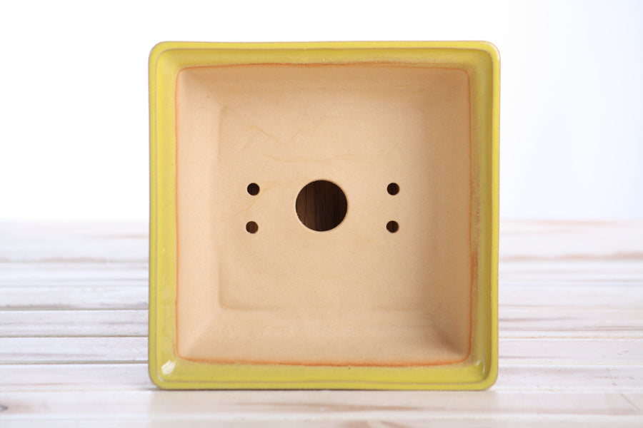 6-Inch Square Bonsai Pot - Yellow