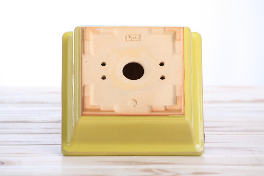 6-Inch Square Bonsai Pot - Yellow