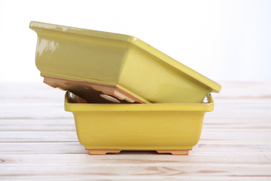 6-Inch Square Bonsai Pot - Yellow