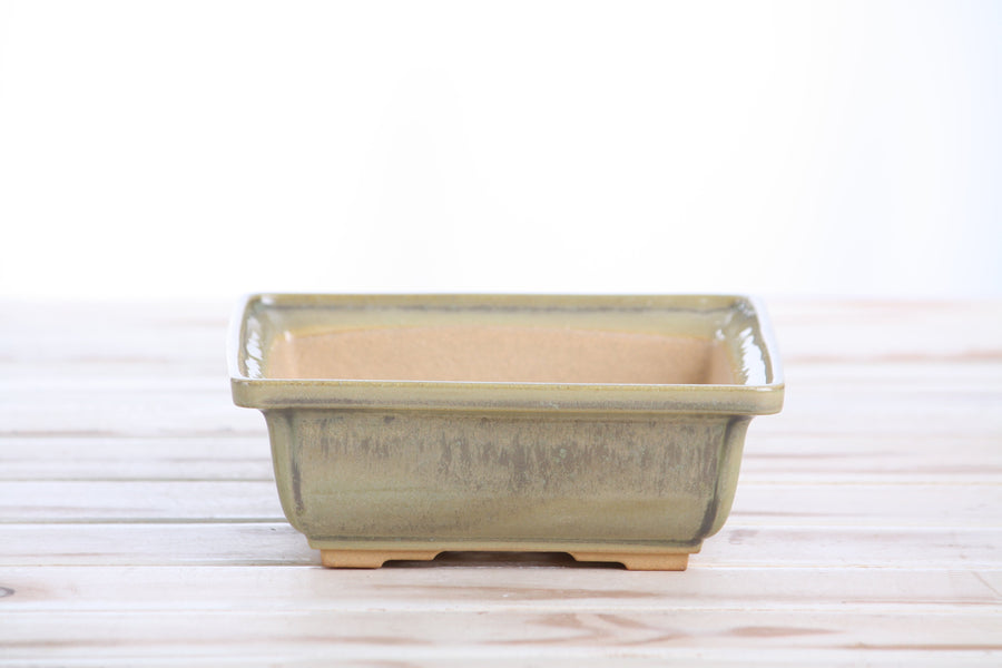 6-Inch Square Bonsai Pot - Copenhagen