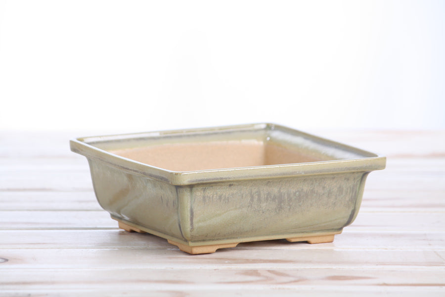 6-Inch Square Bonsai Pot - Copenhagen