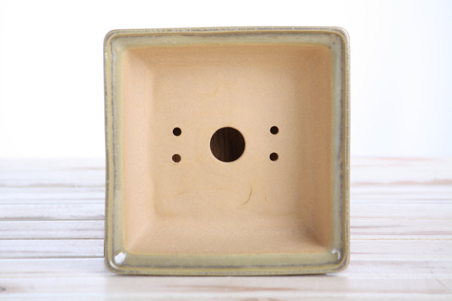 6-Inch Square Bonsai Pot - Copenhagen