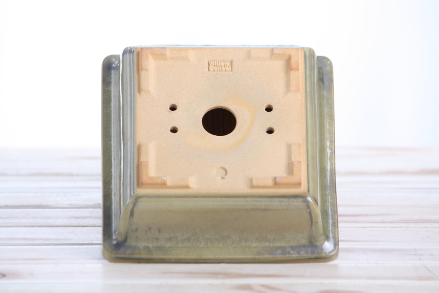 6-Inch Square Bonsai Pot - Copenhagen
