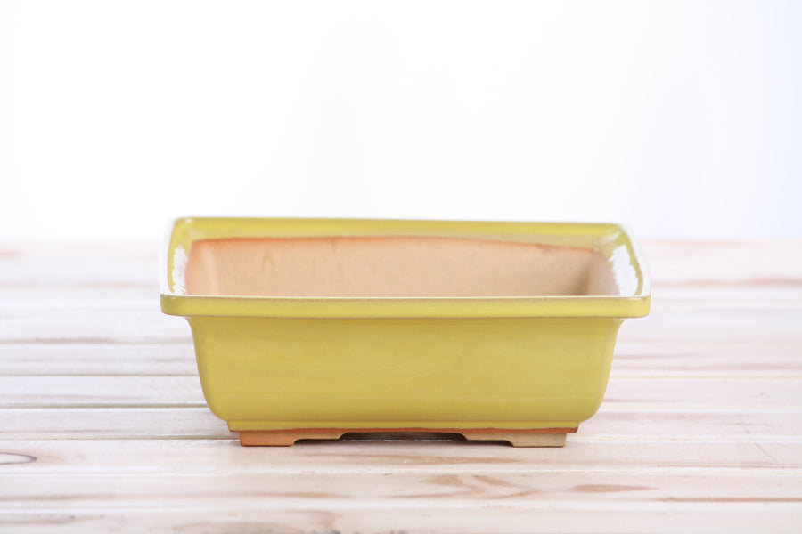 7-Inch Square Bonsai Pot - Yellow