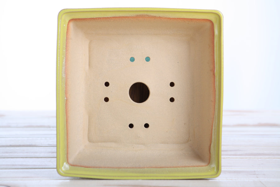 7-Inch Square Bonsai Pot - Yellow