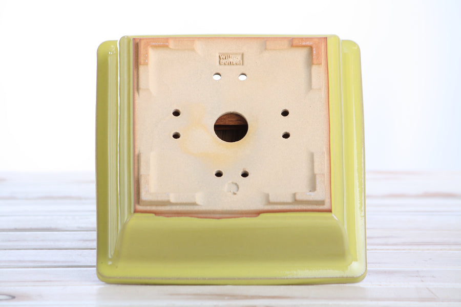7-Inch Square Bonsai Pot - Yellow