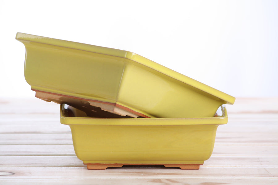 7-Inch Square Bonsai Pot - Yellow