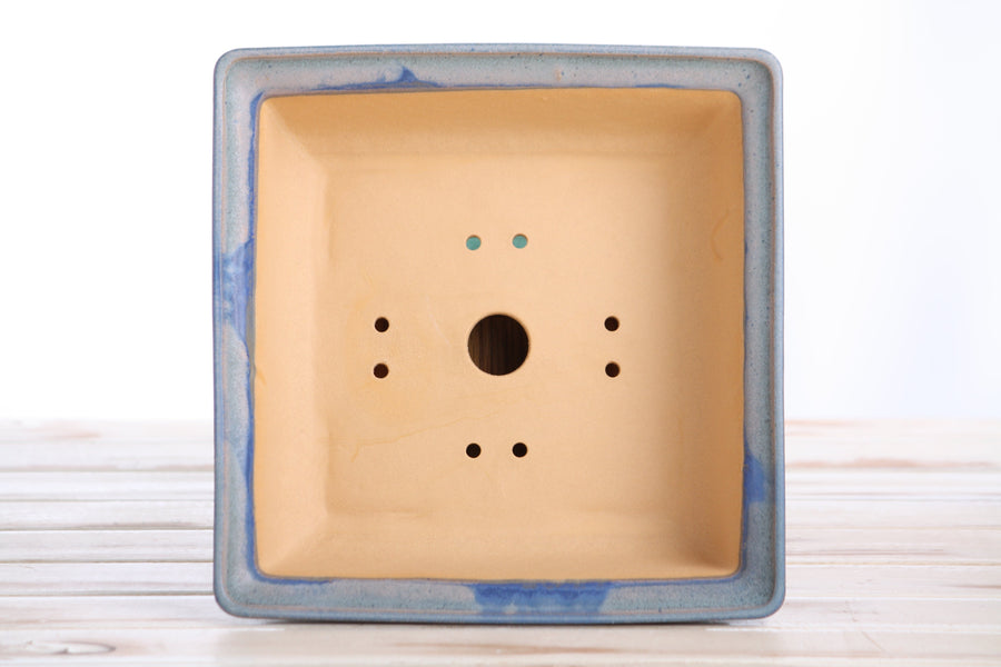 8-Inch Square Bonsai Pot - Ocean