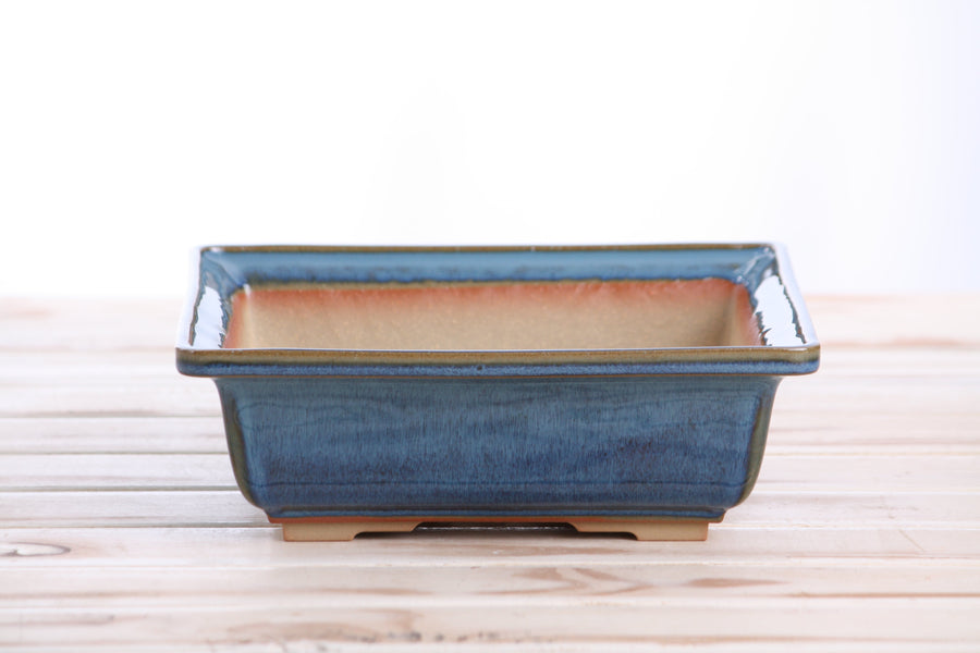 8-Inch Square Bonsai Pot - Peacock 2025