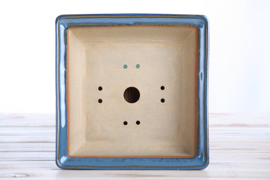 8-Inch Square Bonsai Pot - Peacock 2025