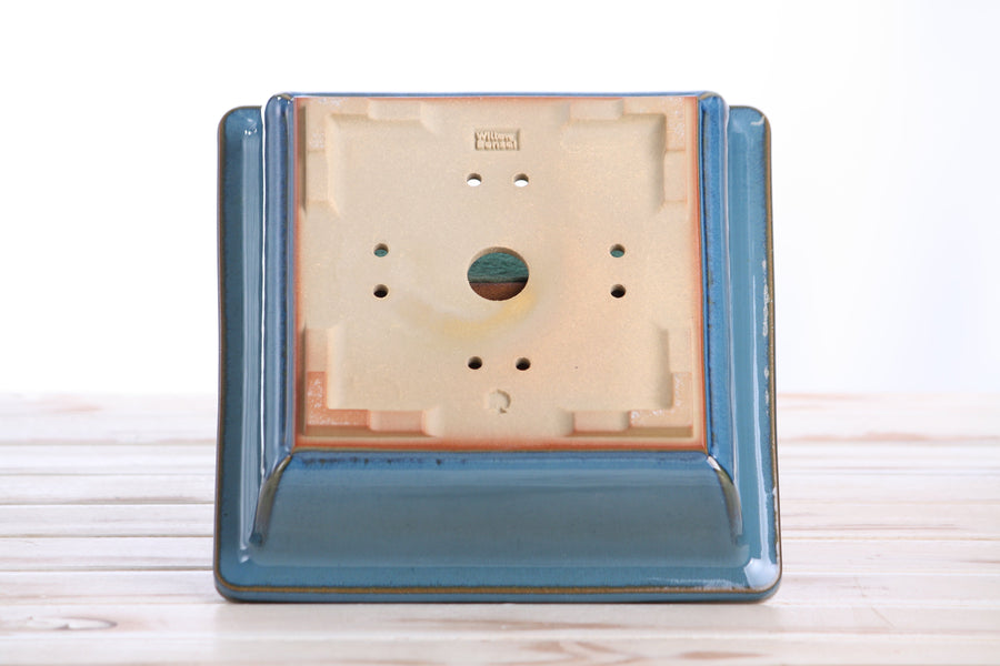 8-Inch Square Bonsai Pot - Peacock 2025