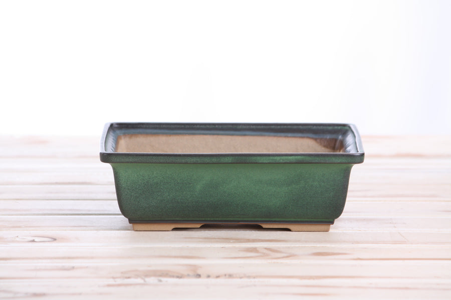 8-Inch Rectangle Bonsai Pot - Avocado