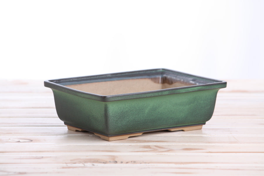 8-Inch Rectangle Bonsai Pot - Avocado