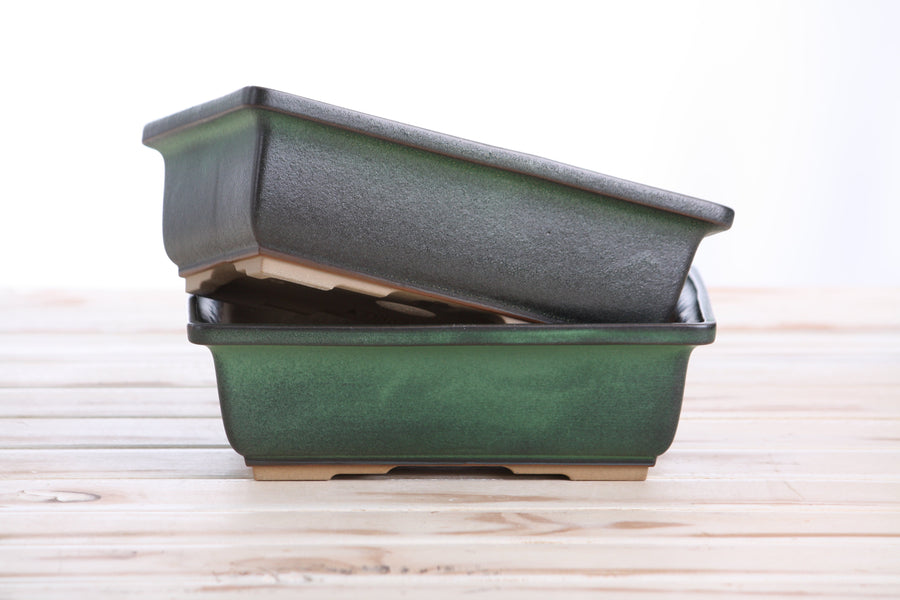 8-Inch Rectangle Bonsai Pot - Avocado