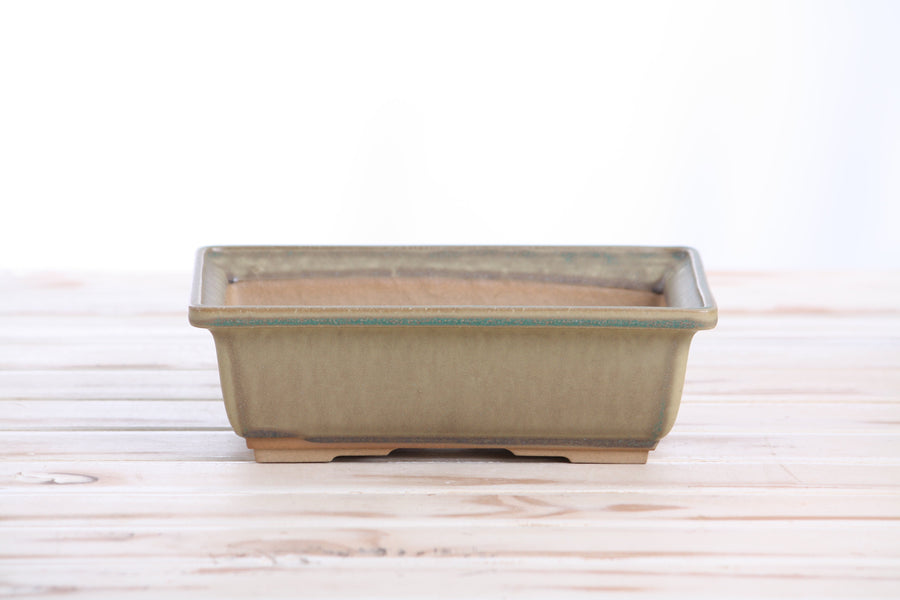 8-Inch Rectangle Bonsai Pot - Speckled Moss