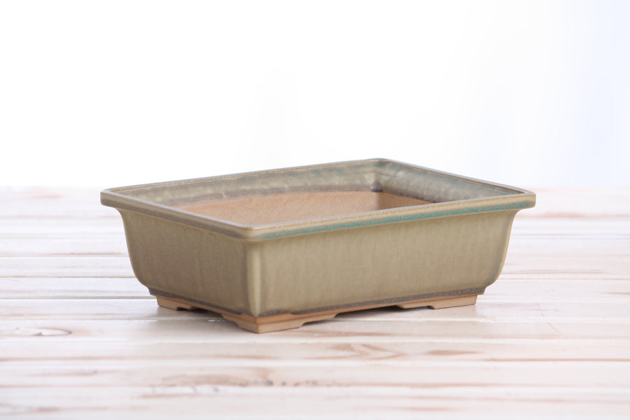 8-Inch Rectangle Bonsai Pot - Speckled Moss