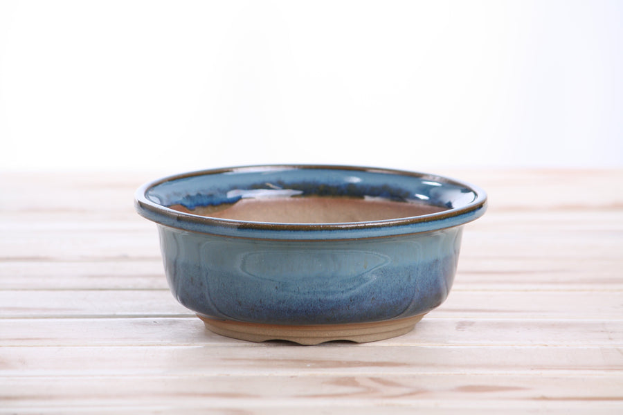 6-Inch Round Bonsai Pot - Peacock 2025