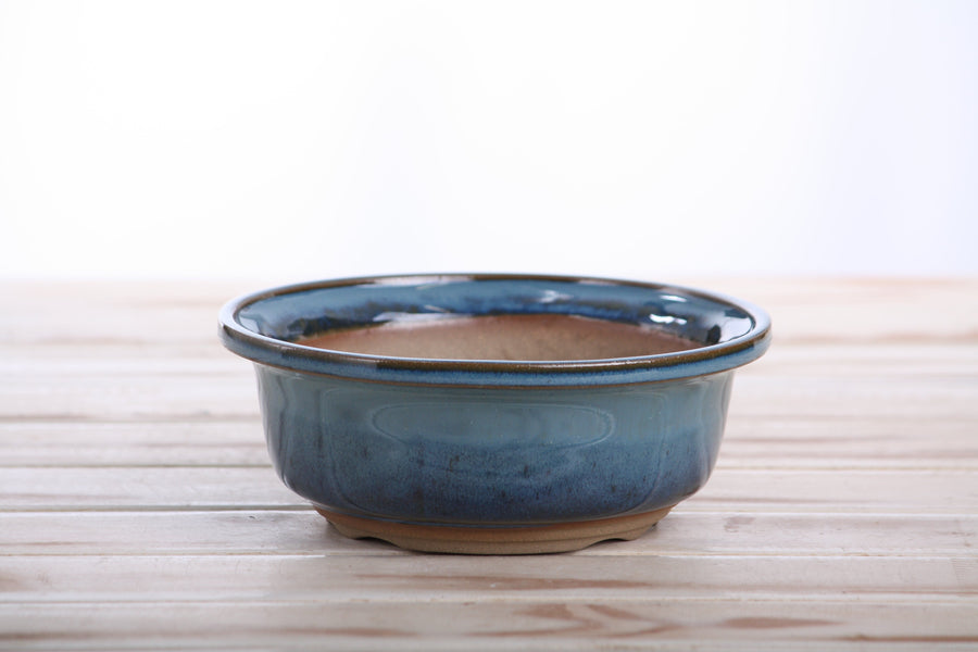 6-Inch Round Bonsai Pot - Peacock 2025