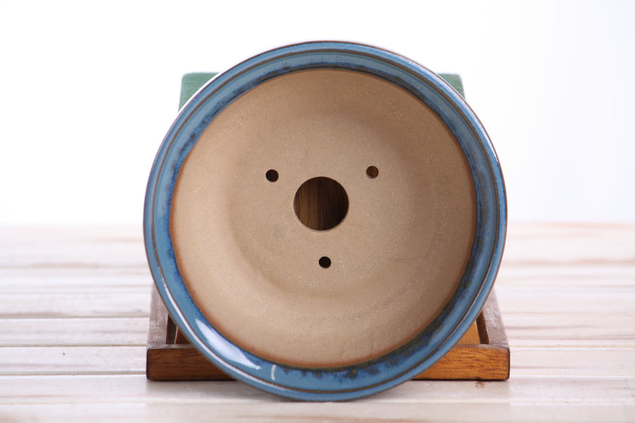 6-Inch Round Bonsai Pot - Peacock 2025