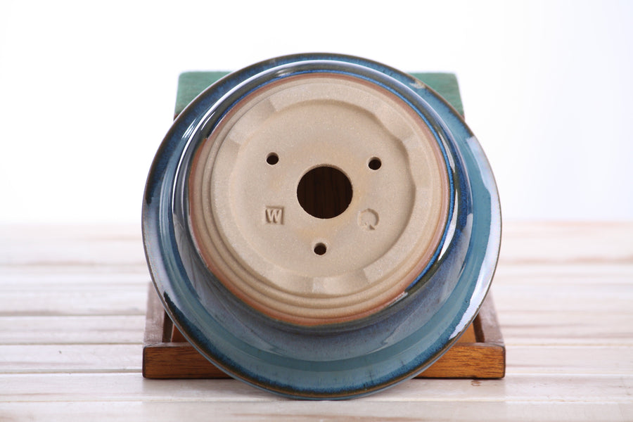 6-Inch Round Bonsai Pot - Peacock 2025