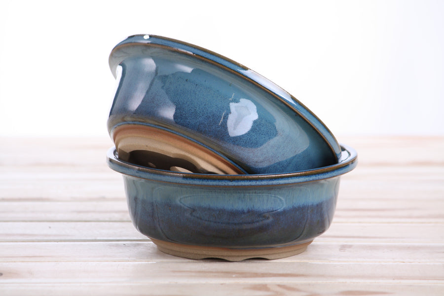 6-Inch Round Bonsai Pot - Peacock 2025