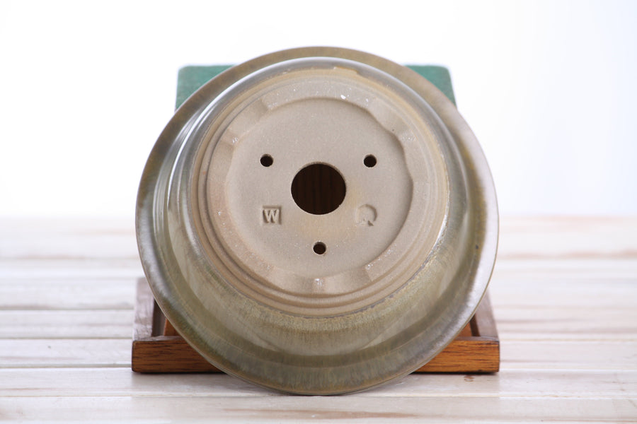 6-Inch Round Bonsai Pot - Copenhagen