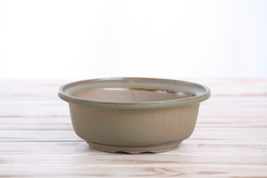 6-Inch Round Bonsai Pot - Speckled Moss