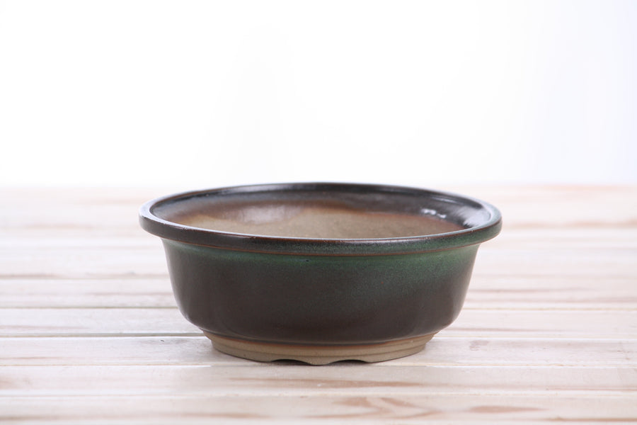 6-Inch Round Bonsai Pot - Avocado