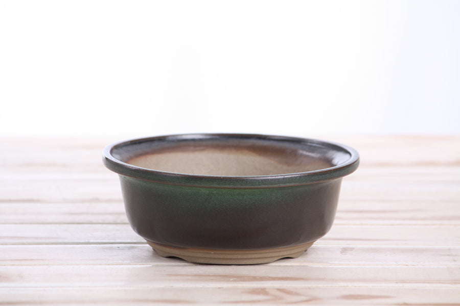 6-Inch Round Bonsai Pot - Avocado
