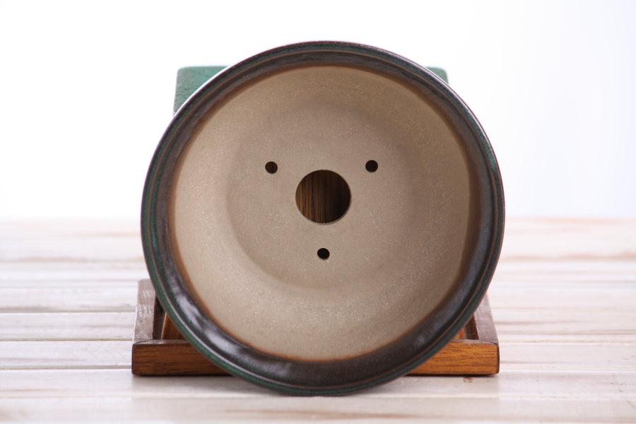 6-Inch Round Bonsai Pot - Avocado