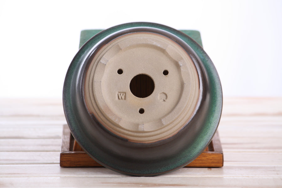 6-Inch Round Bonsai Pot - Avocado