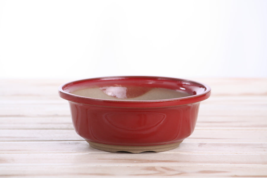 6-Inch Round Bonsai Pot - Red