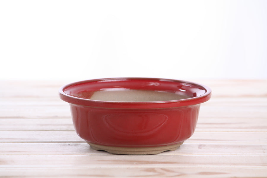 6-Inch Round Bonsai Pot - Red