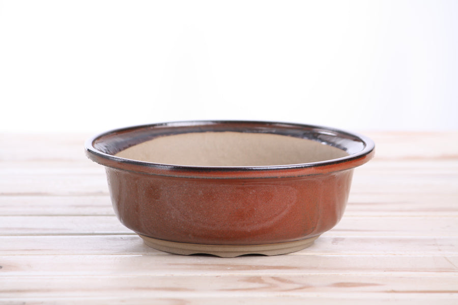 7-Inch Round Bonsai Pot - Sunset