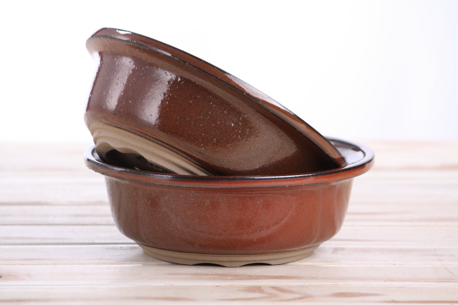 7-Inch Round Bonsai Pot - Sunset