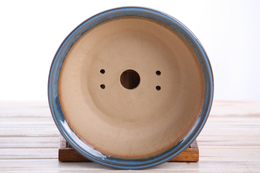 7-Inch Round Bonsai Pot - Peacock 2025