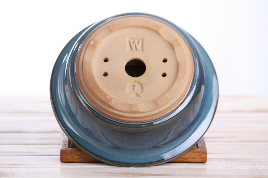 7-Inch Round Bonsai Pot - Peacock 2025