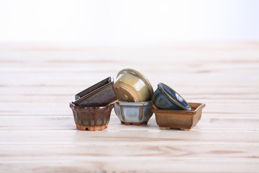 Mini Shito Bonsai Pots, 1.5 Inch - Set of 6, Set A