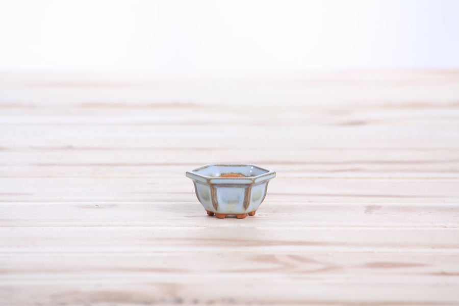 Mini Shito Bonsai Pots, 1.5 Inch - Set of 6, Set A