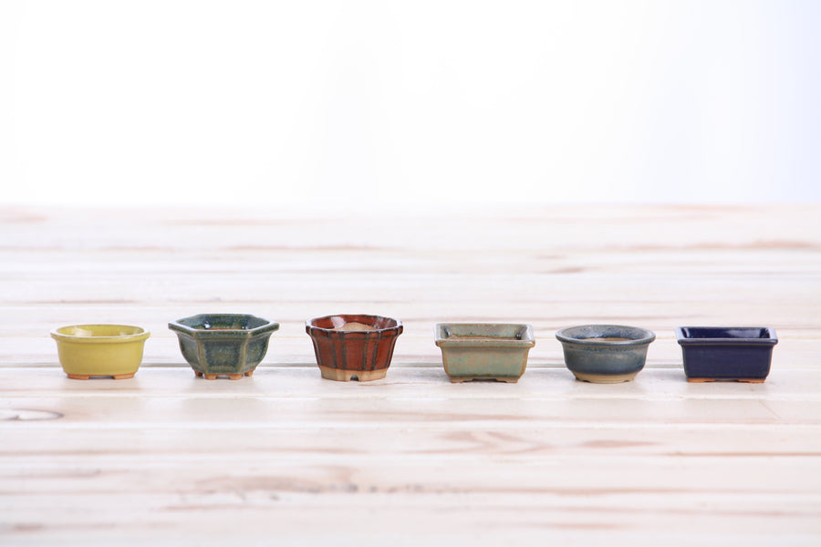 Mini Shito Bonsai Pots, 1.5 Inch - Set of 6, Set B
