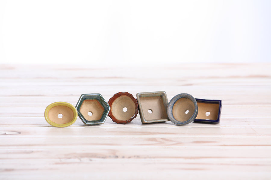 Mini Shito Bonsai Pots, 1.5 Inch - Set of 6, Set B