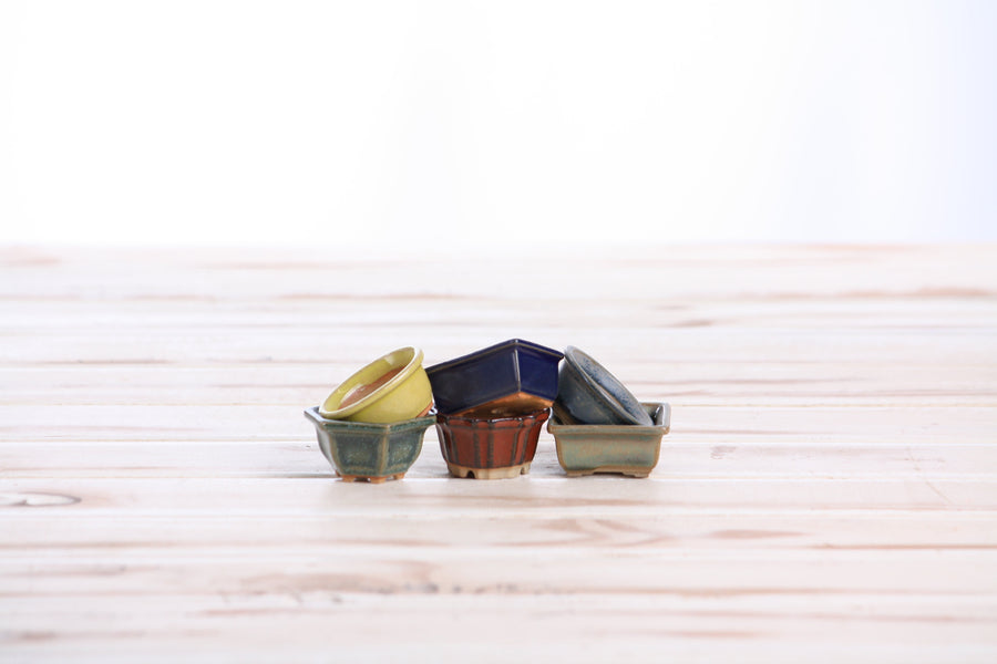 Mini Shito Bonsai Pots, 1.5 Inch - Set of 6, Set B