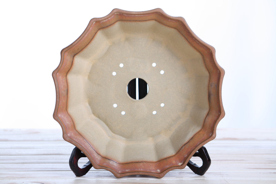 10-Inch Flower Bonsai Pot - Deep Stone